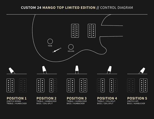 Controls trên Đàn Guitar Điện PRS Custom 24 Mango Top Limited Edition