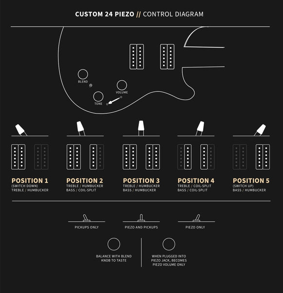 PRS Custom 24 Piezo 10-Top, Control Diagram