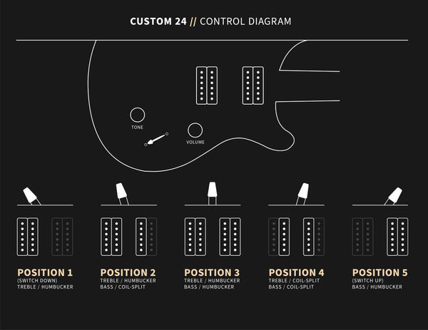 PRS Custom 24 Controls Diagram