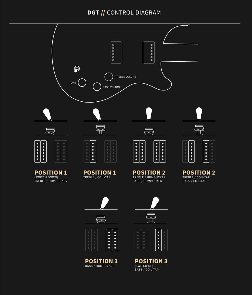 Đàn Guitar Điện PRS DGT w/Bird Inlays - Control Diagram