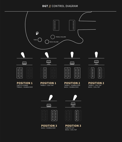 Đàn Guitar Điện PRS DGT 10-Top w/Bird Inlays - Control Diagram