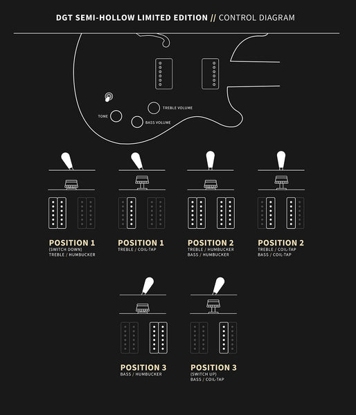 Đàn Guitar Điện PRS DGT Semi-Hollow Limited Edition - Control Diagram