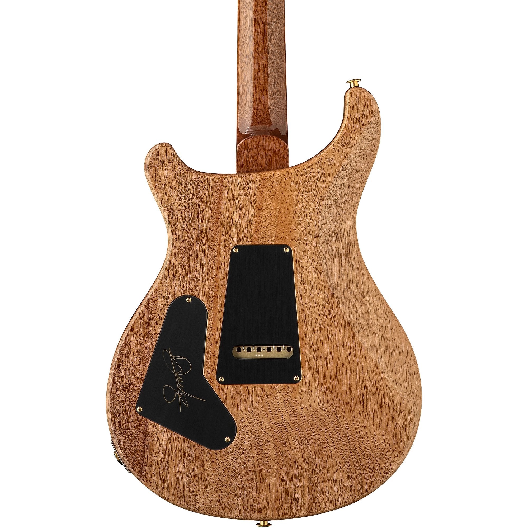 Đàn Guitar Điện PRS Astryx Limited Edition Dany Villarreal Signature - Ocaso-Mai Nguyên Music