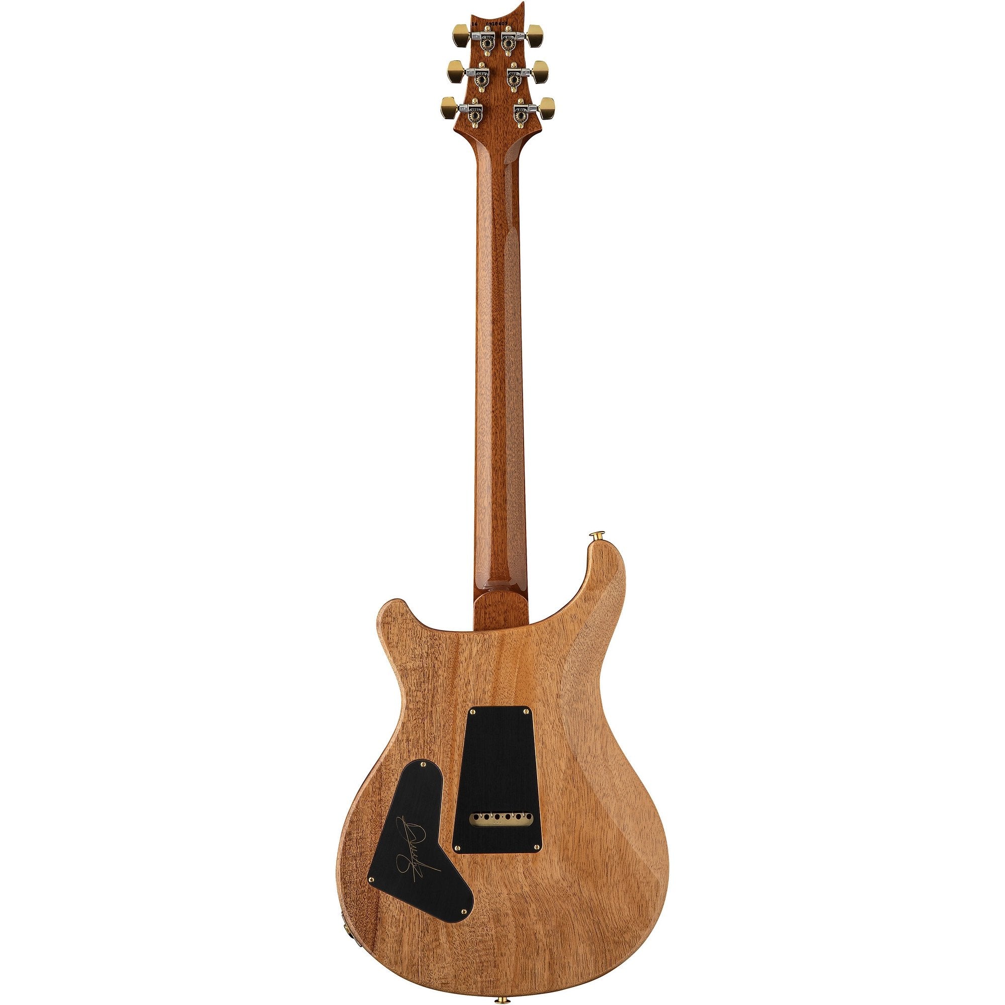 Đàn Guitar Điện PRS Astryx Limited Edition Dany Villarreal Signature - Ocaso-Mai Nguyên Music