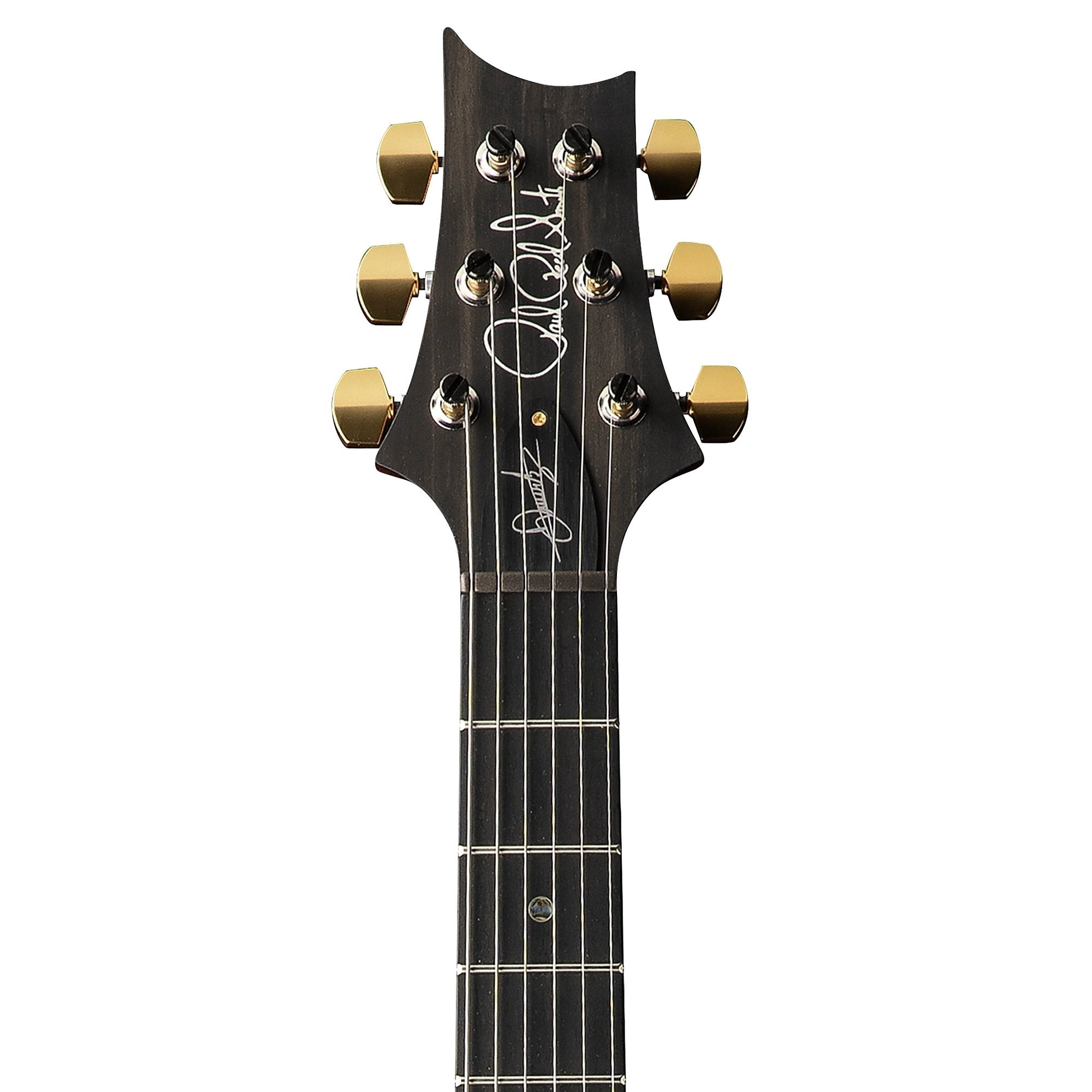 Đàn Guitar Điện PRS Astryx Limited Edition Dany Villarreal Signature - Ocaso-Mai Nguyên Music
