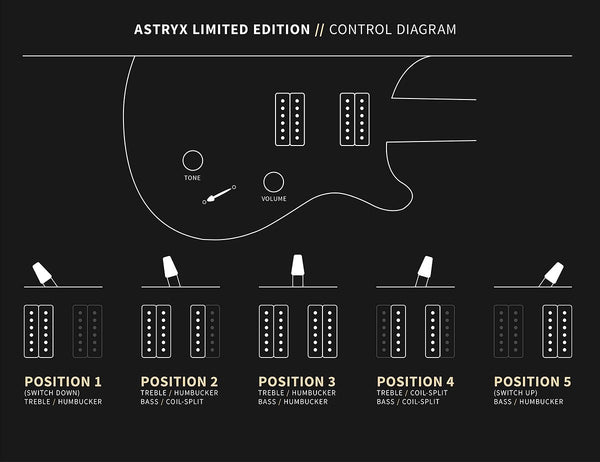 Controls trên Đàn Guitar Điện PRS Astryx Limited Edition Dany Villarreal Signature - Ocaso