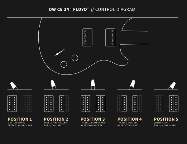 PRS DW CE 24 “Floyd” - 2024 - Control Diagram