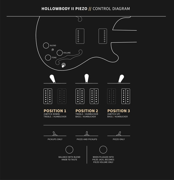 PRS Hollowbody II Piezo 10-Top, Controls Diagram