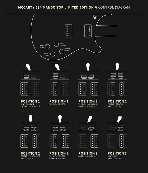 Controls trên Đàn Guitar Điện PRS McCarty 594 Mango Top Limited Edition