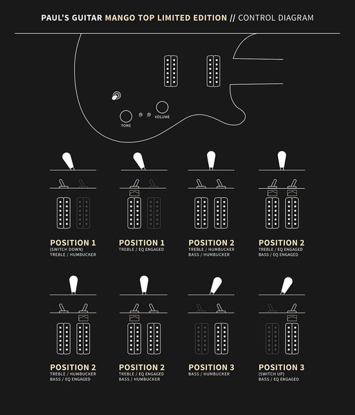 Controls trên Đàn Guitar Điện PRS Paul's Guitar Mango Top Limited Edition