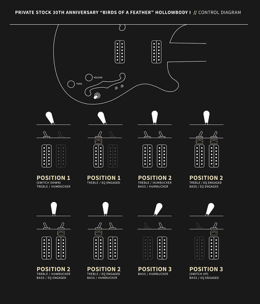 Controls trên Đàn Guitar Điện PRS Private Stock 30th Anniversary Birds of a Feather Hollowbody I