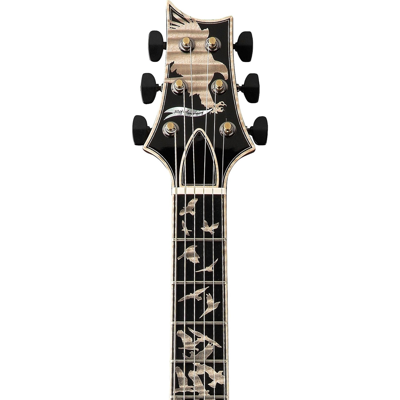 Đàn Guitar Điện PRS Private Stock 30th Anniversary Birds of a Feather Hollowbody I - Frostbite Glow