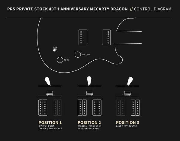 PRS Private Stock 40th Anniversary McCarty Dragon - Control Diagram