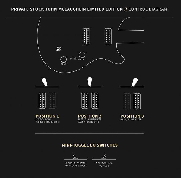 Controls trên Đàn Guitar Điện PRS Private Stock John McLaughlin Limited Edition