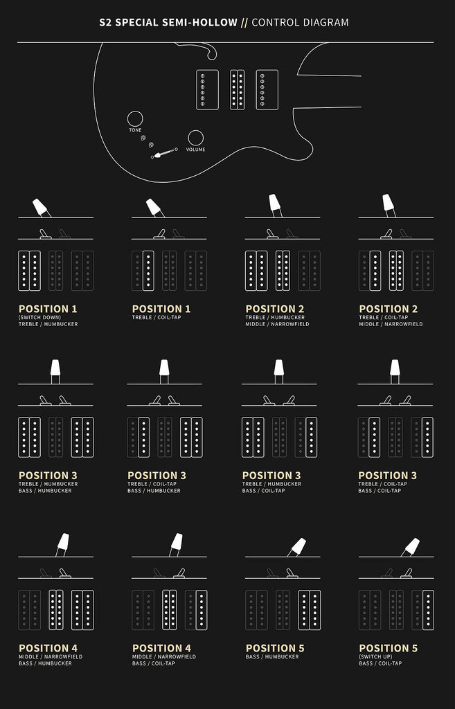 Controls trên Đàn Guitar Điện PRS S2 Special Semi-Hollow