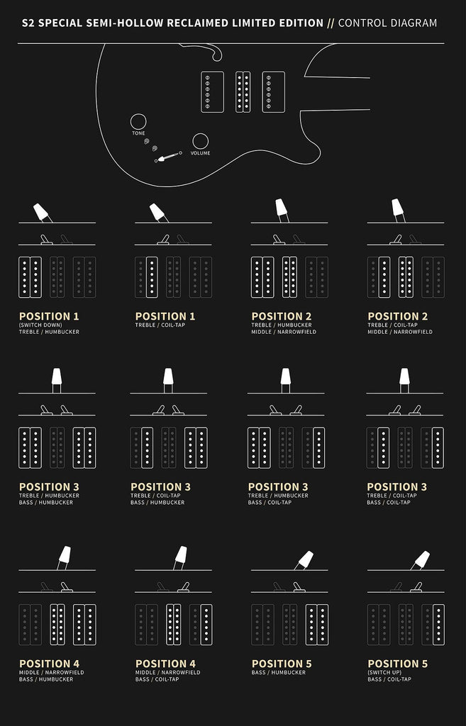 Controls trên Đàn Guitar Điện PRS S2 Special Semi-Hollow Reclaimed Limited Edition
