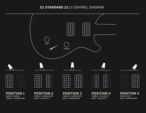 Đàn Guitar Điện PRS S2 Standard 22 - Control Diagram