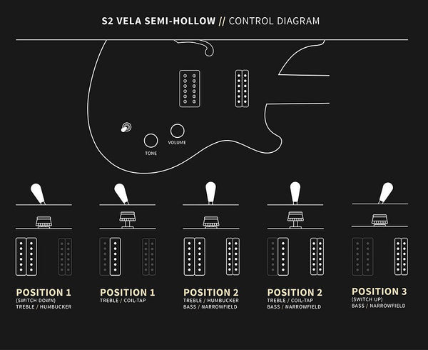 Đàn Guitar Điện PRS S2 Vela Semi-Hollow - Control Diagram