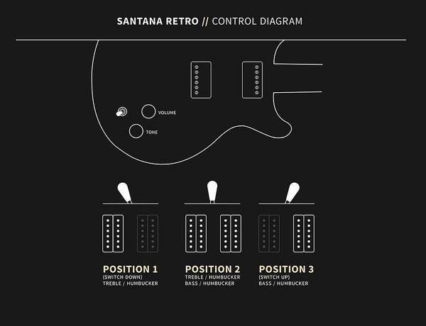 Đàn Guitar Điện PRS Santana Retro - Control Diagram
