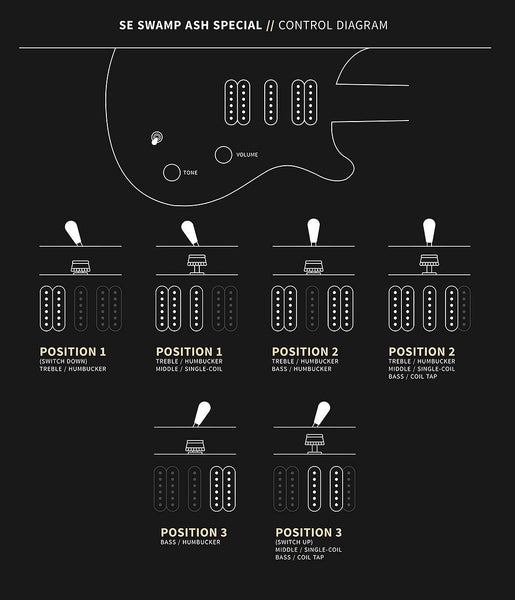 Đàn Guitar Điện PRS SE Swamp Ash Special - Control Diagram