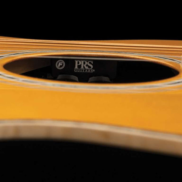 Hệ thống điện tử Fishman trên PRS SE A40E