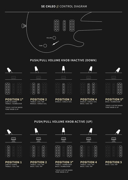 Controls trên Đàn Guitar Điện PRS SE Chleo Herman Li Signature