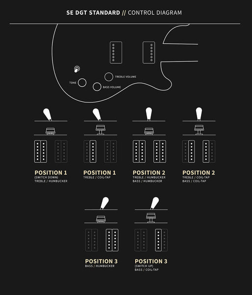 Controls trên Đàn Guitar Điện PRS SE DGT Standard David Grissom