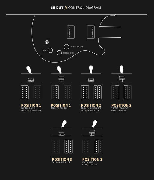 Đàn Guitar Điện PRS SE DGT (David Grissom Signature) - Control Diagram