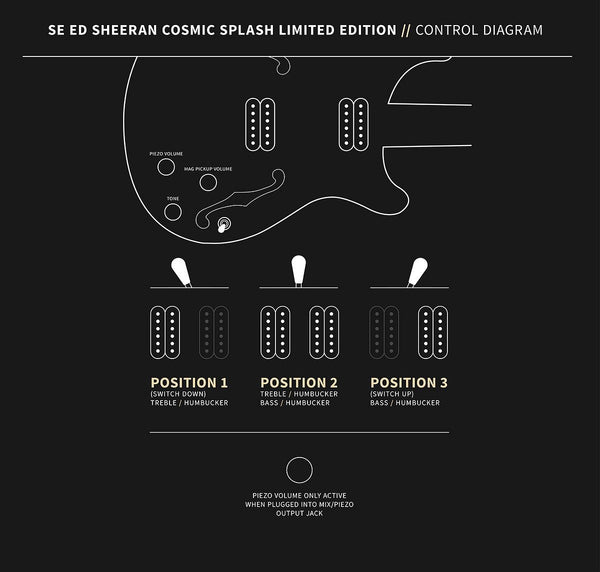 Controls trên Đàn Guitar Điện PRS SE Ed Sheeran Hollowbody I Piezo Baritone