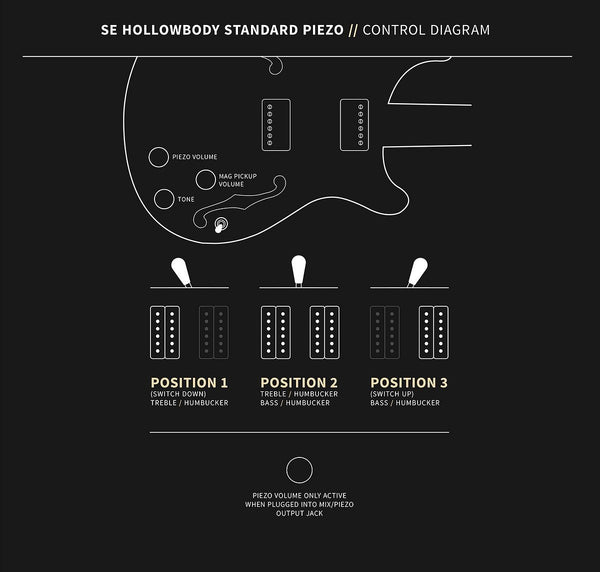 Controls trên Đàn Guitar Điện PRS SE Hollowbody Standard Piezo