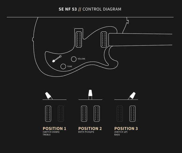 Controls trên Đàn Guitar Điện PRS SE NF 53