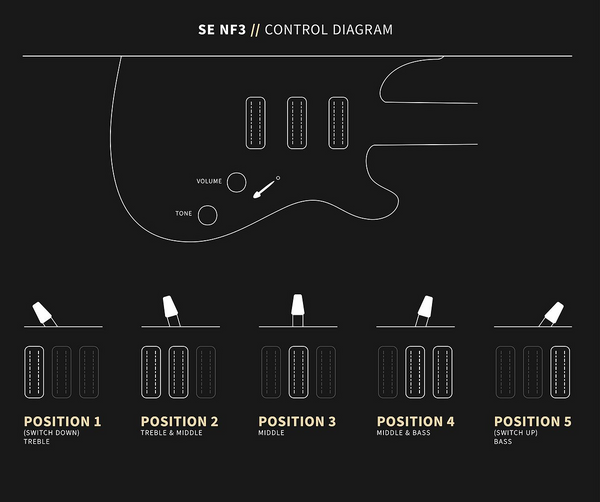 Đàn Guitar Điện PRS SE NF3 - Control Diagram