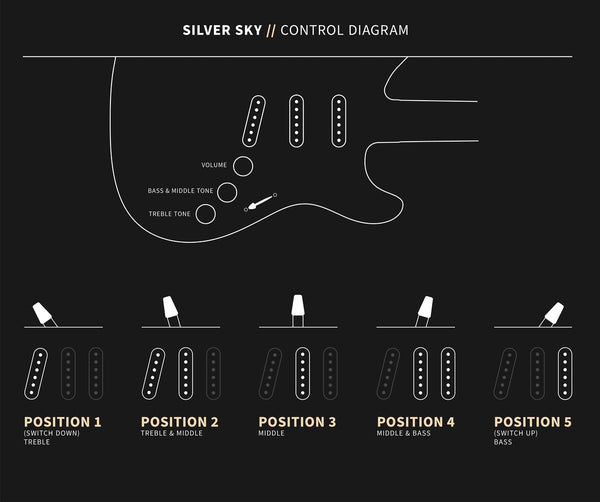 PRS Silver Sky - Control Diagram