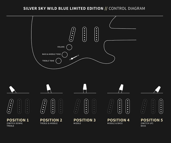 Controls trên Đàn Guitar Điện PRS Silver Sky Limited Edition - Wild Blue