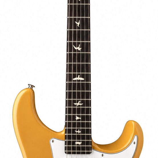 Đàn Guitar Điện PRS Silver Sky Defender Limited Edition