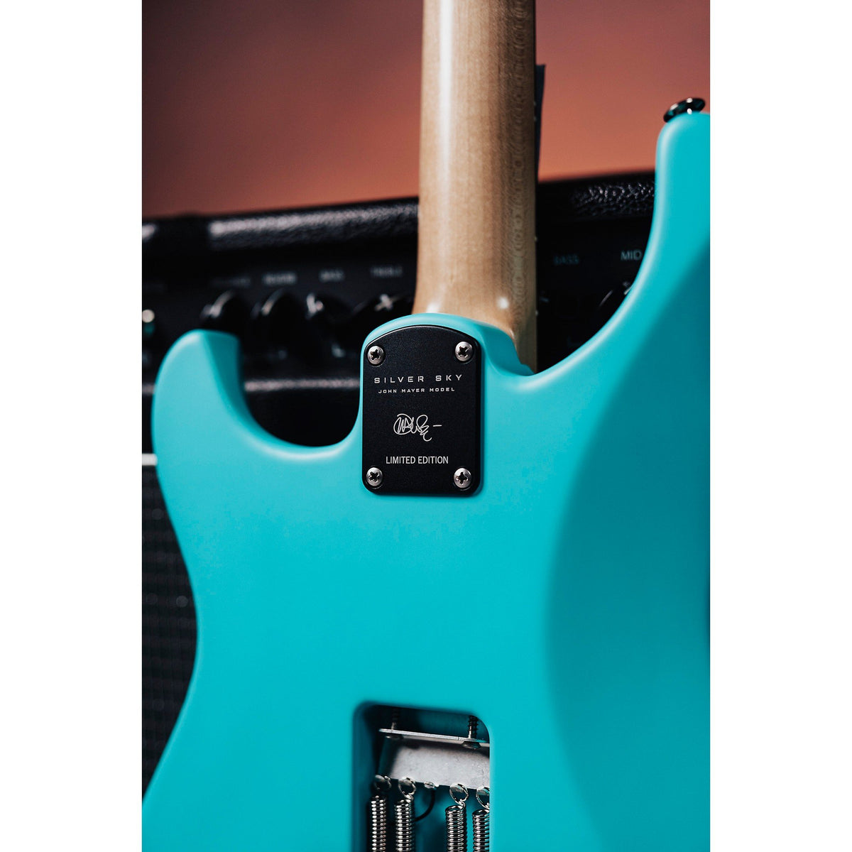 Đàn Guitar Điện PRS Silver Sky Limited Edition - Wild Blue