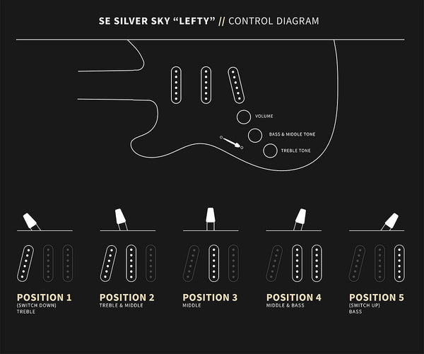 Đàn Guitar Điện PRS SE Silver Sky Left-Handed - Control Diagram