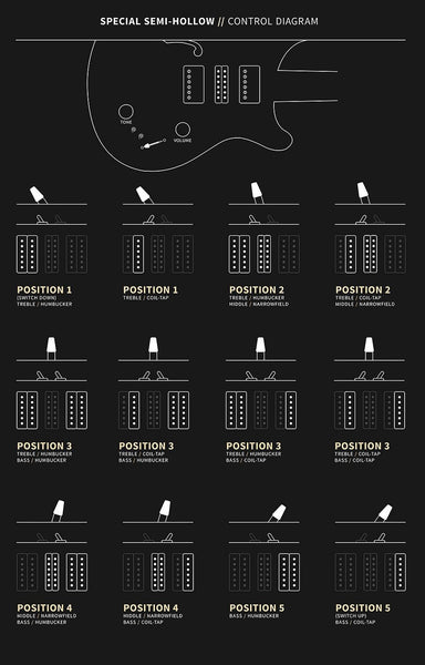PRS Special Semi-Hollow 10-Top, Controls Diagram
