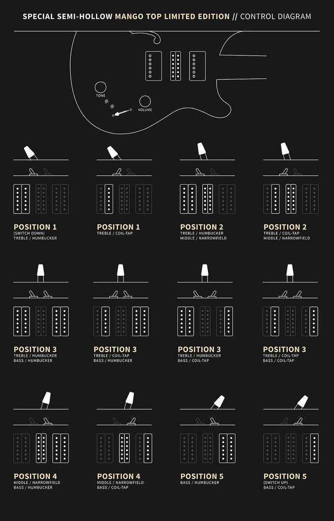 Controls trên Đàn Guitar Điện PRS Special Semi-Hollow Mango Limited Edition