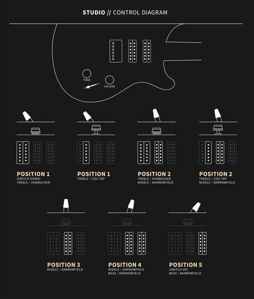 Đàn Guitar Điện PRS Studio - Control Diagram