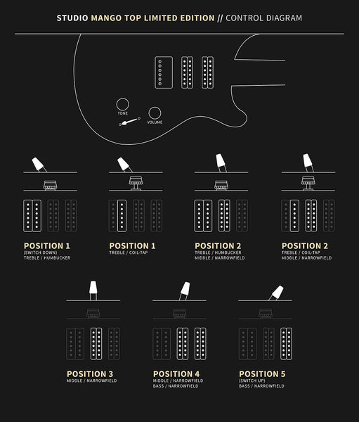 Controls trên Đàn Guitar Điện PRS Studio Mango Top Limited Edition
