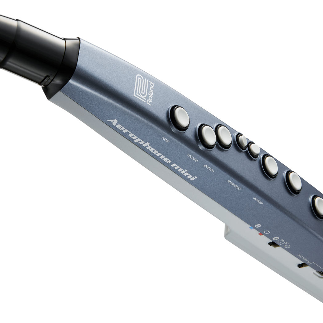 Kèn Điện Tử Roland Aerophone Mini AE-01