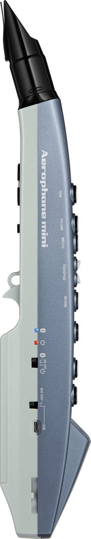 Kèn Điện Tử Roland Aerophone Mini AE-01