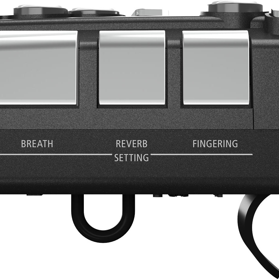 Kèn Điện Tử Roland Aerophone GO AE-05