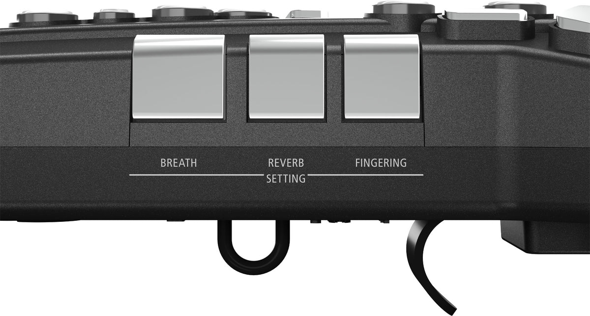 Kèn Điện Tử Roland Aerophone GO AE-05