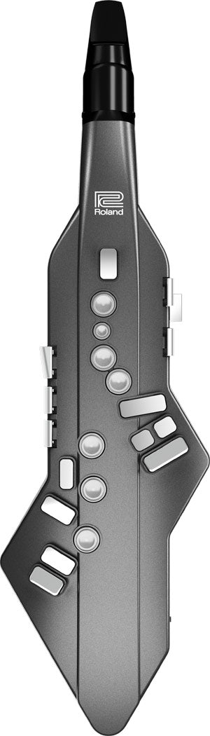 Kèn Điện Tử Roland Aerophone GO AE-05