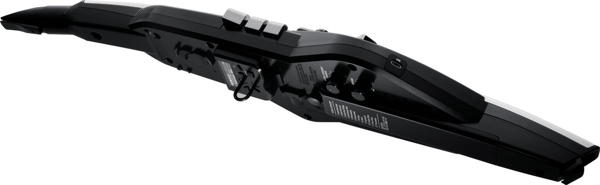 Kèn Điện Tử Roland Aerophone AE-20
