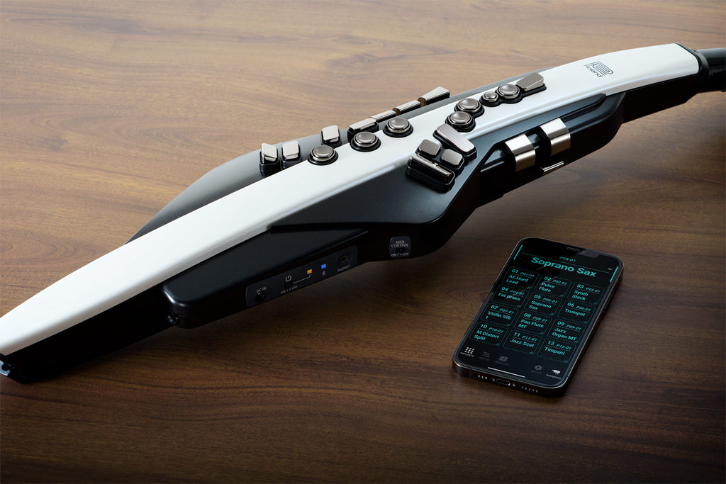 Kèn Điện Tử Roland Aerophone AE-20 - White