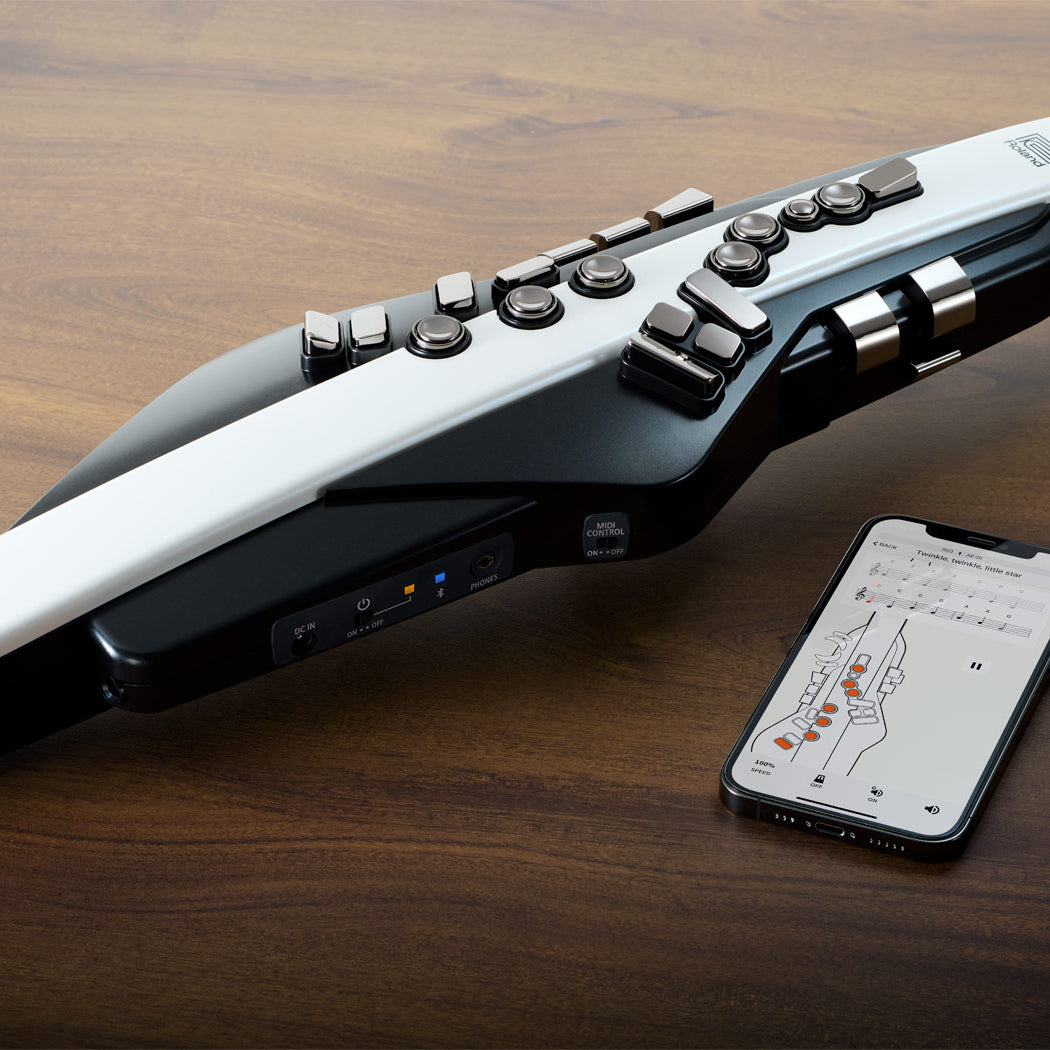 Kèn Điện Tử Roland Aerophone AE-20