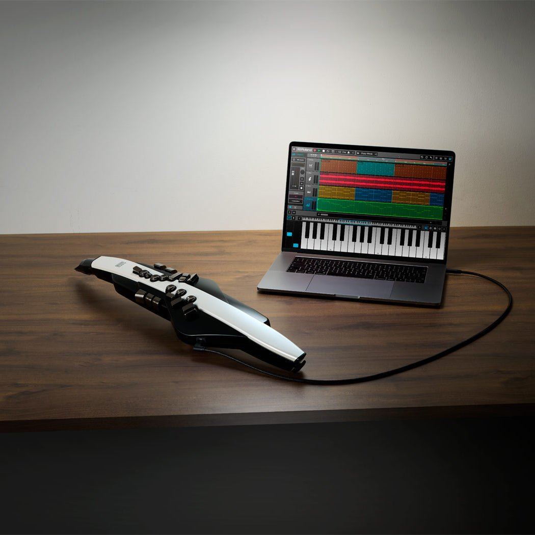 Kèn Điện Tử Roland Aerophone AE-20